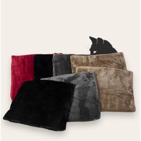 COUSSINS pour chats